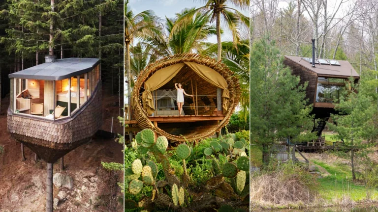 Best Treehouse Hotel Options: The 2026 Authoritative Reference