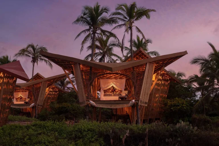Best Treehouse Hotels for Groups: The 2026 Ultimate Guide to Canopy Retreats