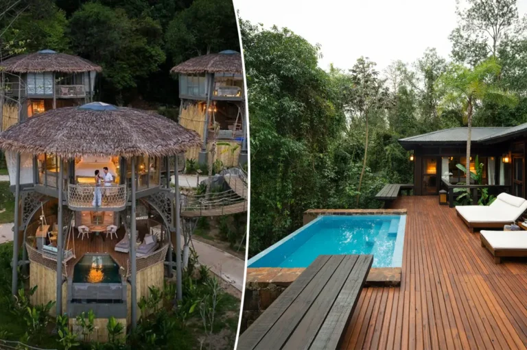Best Treehouse Hotels for Honeymooners: The 2026 Definitive Guide
