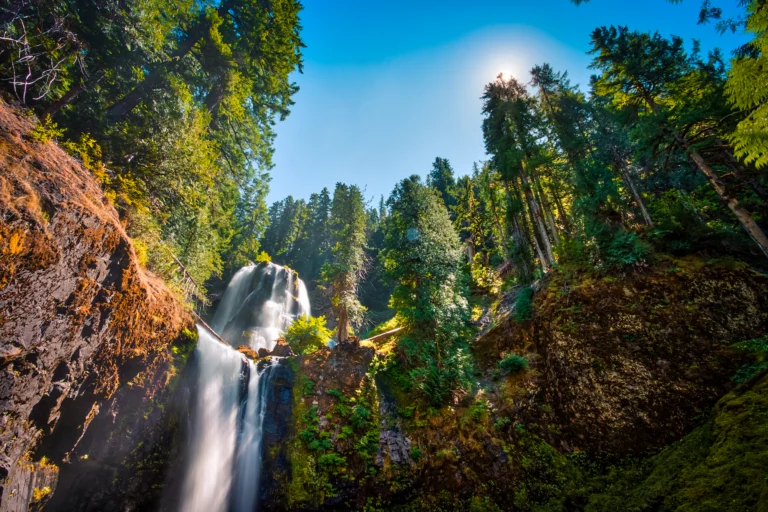 Forest Lifestyle Destinations USA: 2026 Definitive Authority Guide