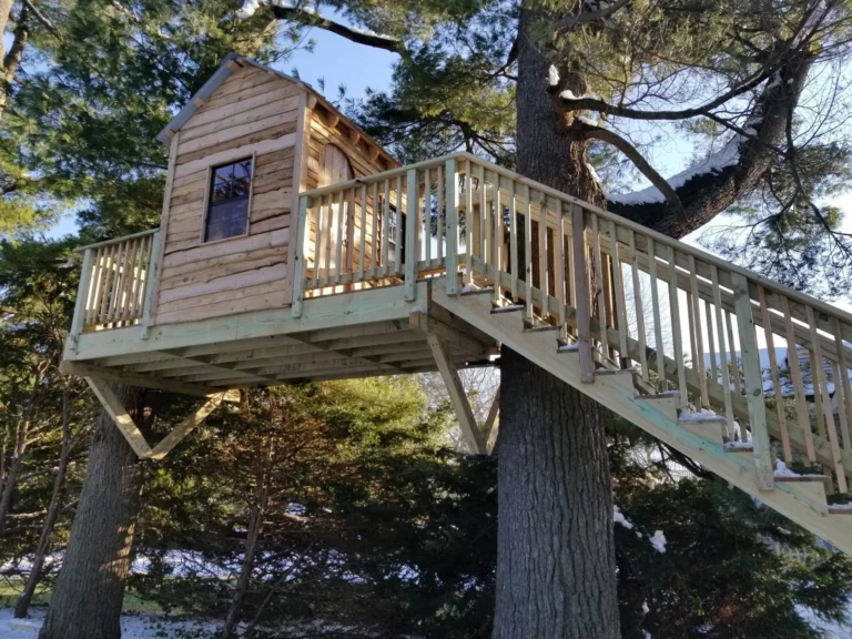 How to Avoid Treehouse Safety Risks: The 2026 Engineering & Arborist Guide