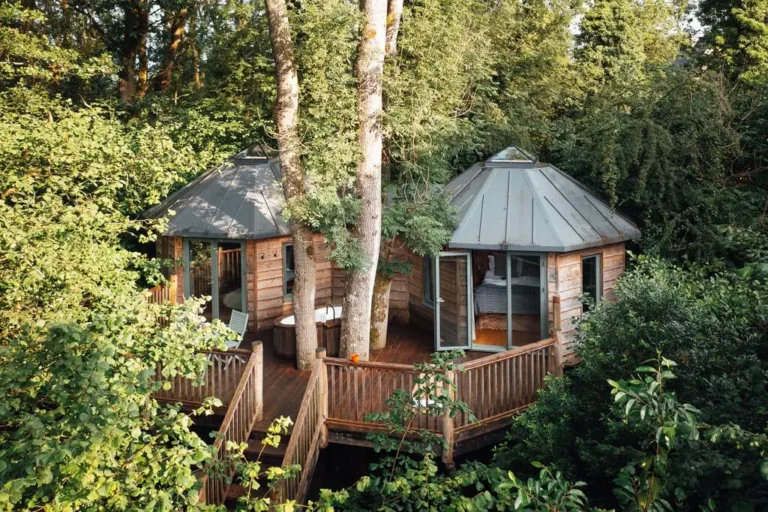 How to Plan a Treehouse Stay on a Budget: The 2026 Authority Guide