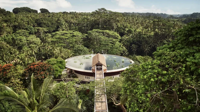 Top Canopy Resort Options: The 2026 Authority Guide to Luxury Arboreal Travel