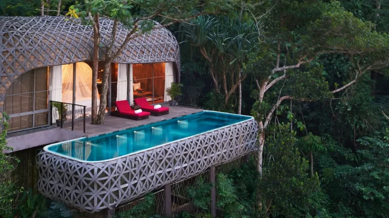 Top Rated Treehouse Hotels America: The 2026 Definitive Guide