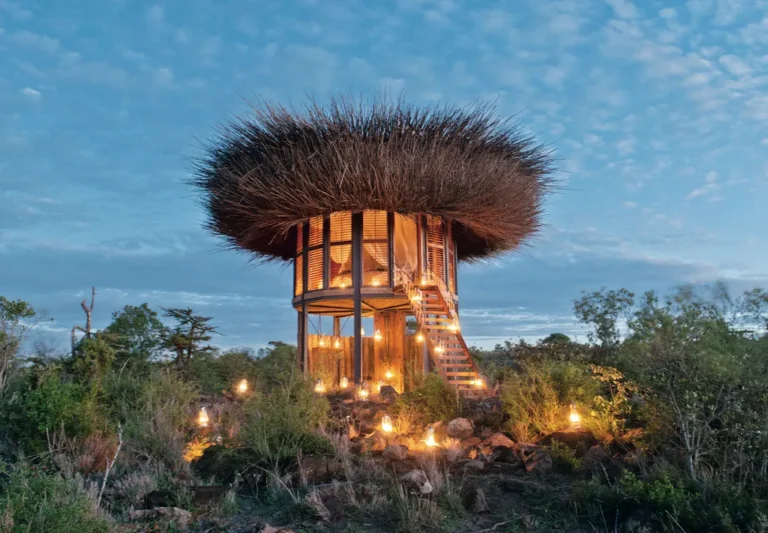 Treehouse Lifestyle Destinations USA: The 2026 Pillar Guide to Arboreal Living